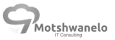 client-logo-motshwaelo-it-consulting